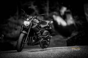 Jérémie MOLARO - F & F PHOTOGRAPHIE